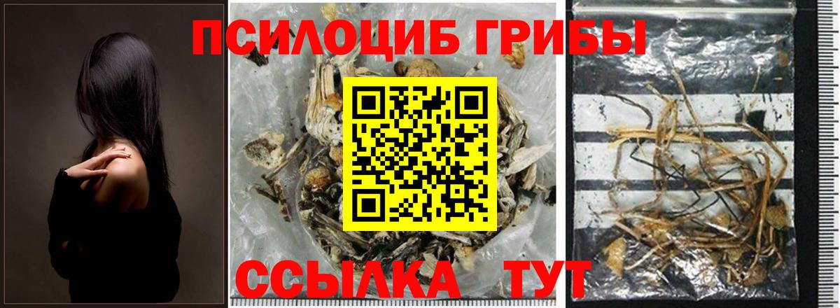 Псилоцибиновые грибы Magic Shrooms Краснодар
