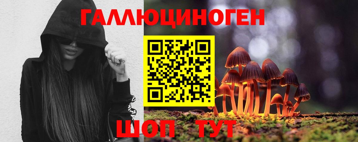 Псилоцибиновые грибы Psilocybine cubensis  Псилоцибиновые грибы Magic Shrooms  Вход с VPN  Краснодар 